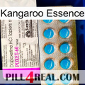 Kangaroo Essence new07